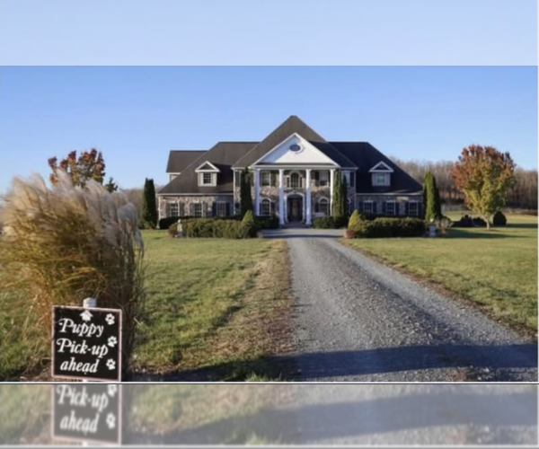 Medium Photo #3  Breeder Profile in COLUMBIA CROSS ROADS, PA, USA