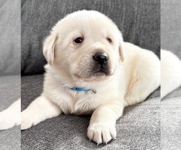 Medium Photo #1  Breeder Profile in ASHBURNHAM, MA, USA