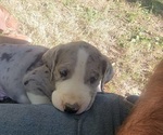 Small #16 Breeder Profile image
