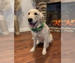 Small #19 Breeder Profile image