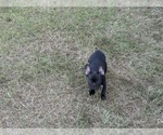 Small #5 Breeder Profile image