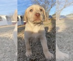 Small #19 Breeder Profile image