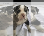 Small #2 Breeder Profile image