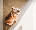 Small #2 Breeder Profile image