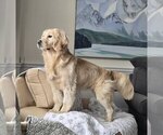 Small #20 Breeder Profile image