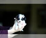 Small #8 Breeder Profile image