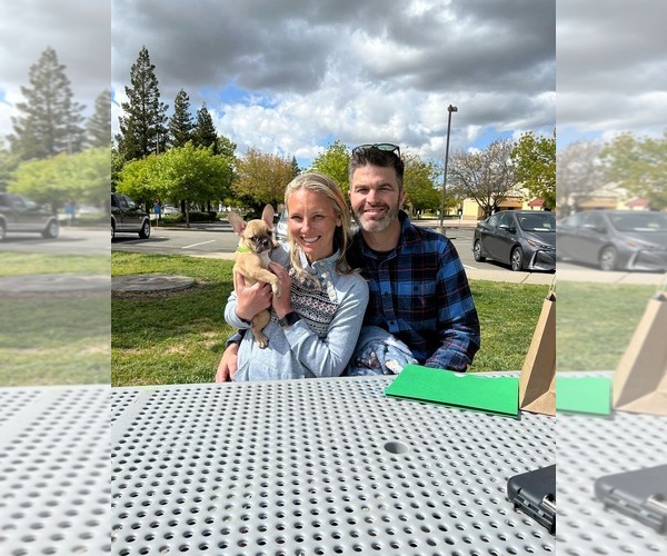 Medium Photo #2  Breeder Profile in SACRAMENTO, CA, USA