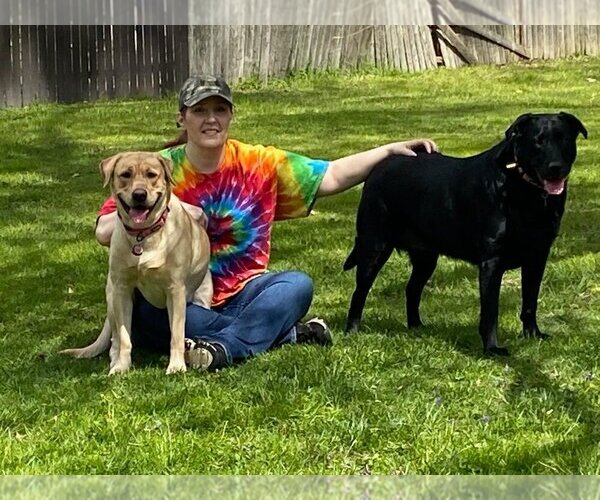 Medium Photo #1  Breeder Profile in MIDDLE RIVER, MD, USA