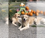 Small #3 Breeder Profile image
