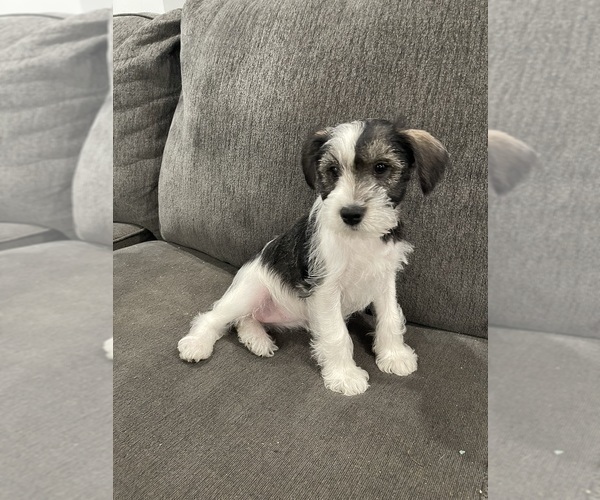 Medium Photo #3  Breeder Profile in SAINT MARYS, KS, USA