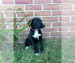 Small #2 Breeder Profile image