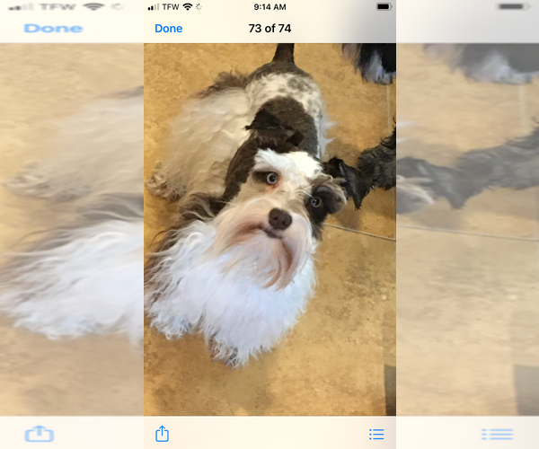 Medium Photo #1  Breeder Profile in SARASOTA, FL, USA