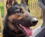 Small #3 Breeder Profile image