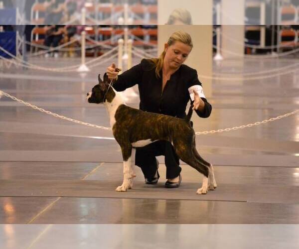 Medium Photo #8  Breeder Profile in CLEVELAND, TX, USA