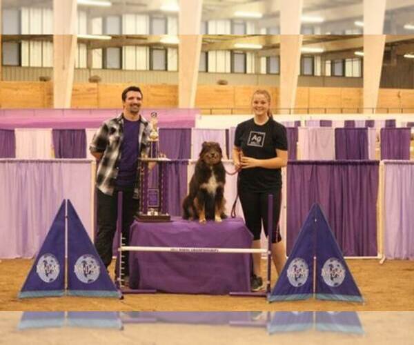 Medium Photo #6  Breeder Profile in CHANDLER, AZ, USA