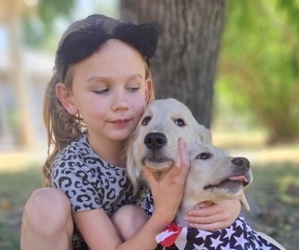 Medium Photo #1  Breeder Profile in LOOMIS, CA, USA