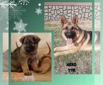 Small #10 Breeder Profile image