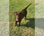 Small #4 Breeder Profile image