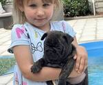 Small breeder photo