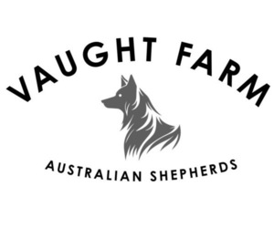 Australian Shepherd Dog Breeder near CHRISTIANA, TN, USA