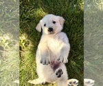Small #3 Breeder Profile image