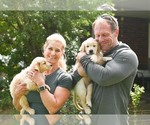 Small #18 Breeder Profile image