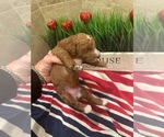 Small #6 Breeder Profile image