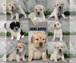 Small #8 Breeder Profile image