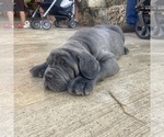 Small #1 Breeder Profile image