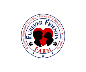 Goldendoodle (Miniature) Dog Breeder near WESTMINSTER, SC, USA