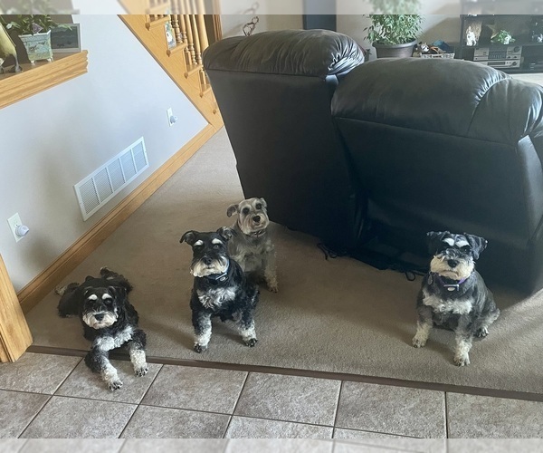 Medium Photo #8  Breeder Profile in WOLCOTTVILLE, IN, USA