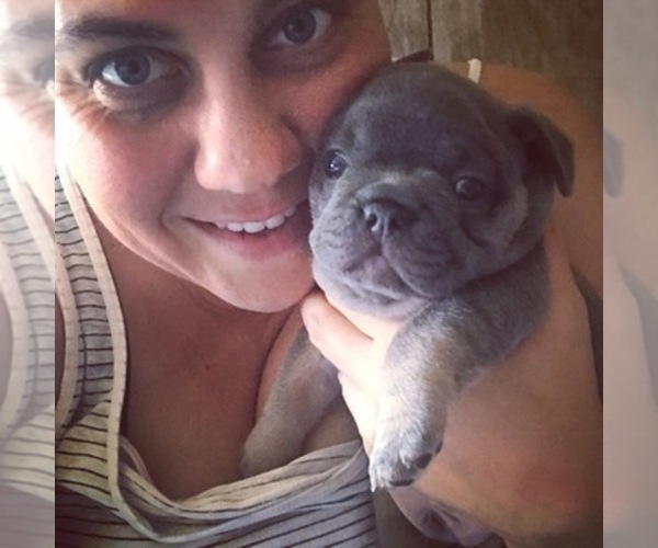 Medium Photo #1  Breeder Profile in HAYWARD, CA, USA
