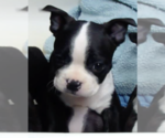 Small #6 Breeder Profile image