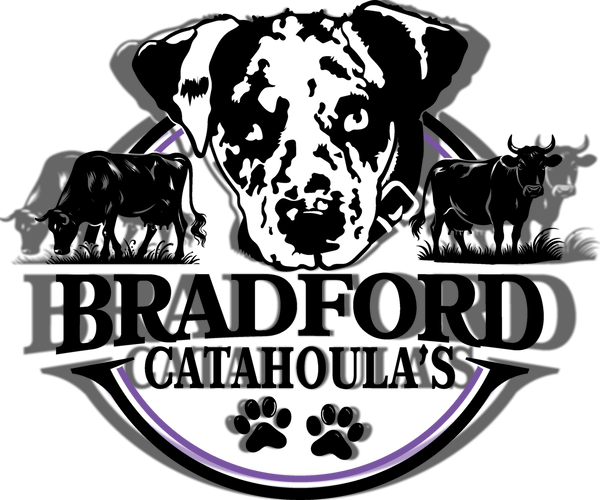 Medium Photo #1  Breeder Profile in SCOTT CITY, KS, USA