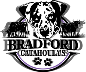 Medium Breeder Profile Photo