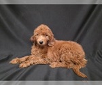 Small #7 Breeder Profile image