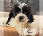 Small #10 Breeder Profile image
