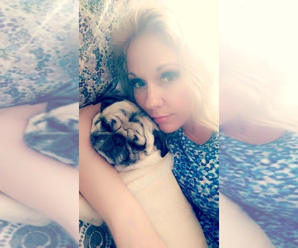 Medium Photo #1  Breeder Profile in ARLINGTON, WA, USA