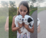 Small #30 Breeder Profile image