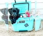 Small #14 Breeder Profile image