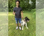 Small #3 Breeder Profile image