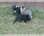 Small #4 Breeder Profile image