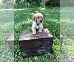 Small #6 Breeder Profile image