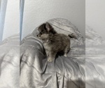 Small #3 Breeder Profile image