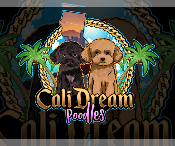 Medium Photo #1  Breeder Profile in SUISUN CITY, CA, USA