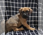 Small #12 Breeder Profile image