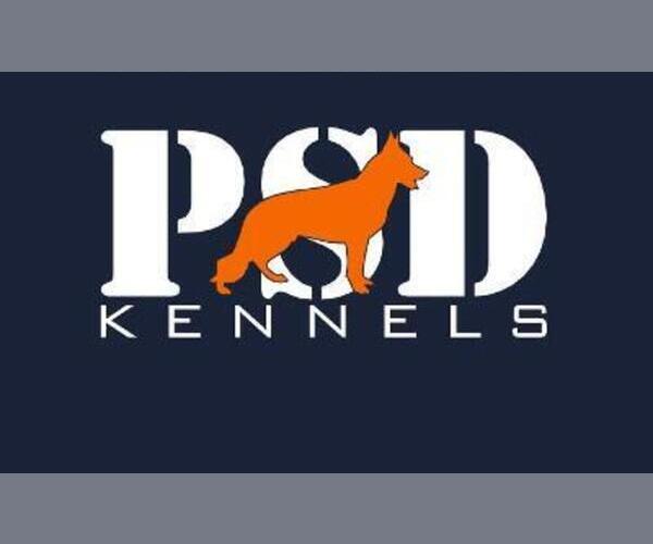 Medium Photo #1  Breeder Profile in POPLARVILLE, MS, USA