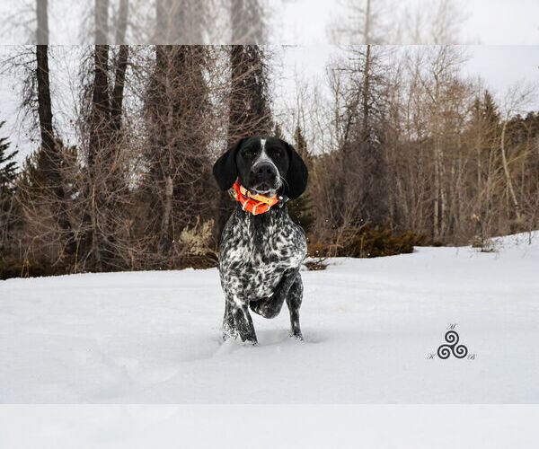 Medium Photo #9  Breeder Profile in EVANSVILLE, WY, USA