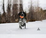 Small #8 Breeder Profile image