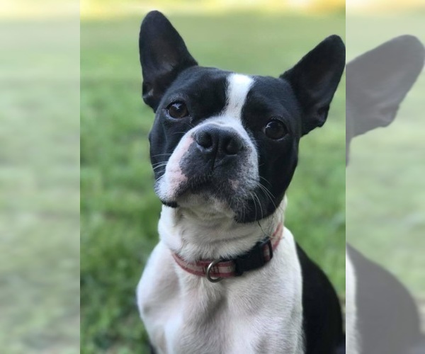 Medium Photo #1  Breeder Profile in BARNESVILLE, GA, USA